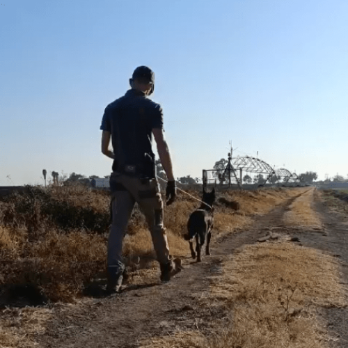 2024-08-30 12_45_27-WhatsApp