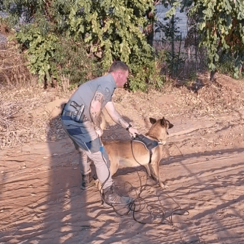 2024-08-30 12_47_59-WhatsApp