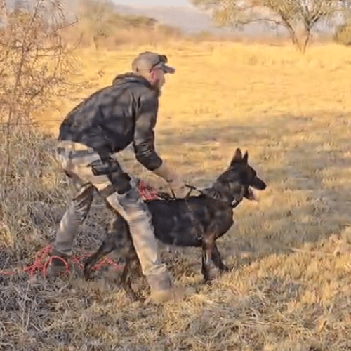 2024-08-30 13_02_26-WhatsApp