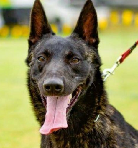 WhatsApp Image 2024-05-29 at 19.38.16_835d78a5