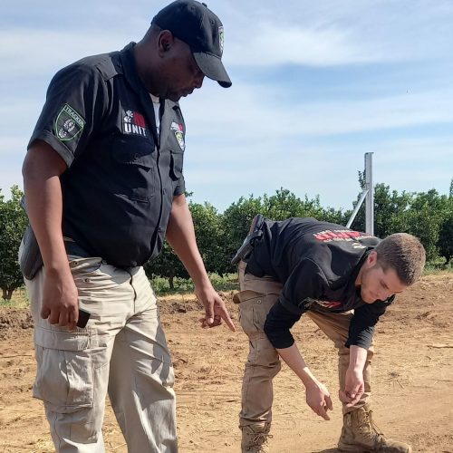 WhatsApp Image 2024-10-14 at 10.03.26_5f9fb3b9